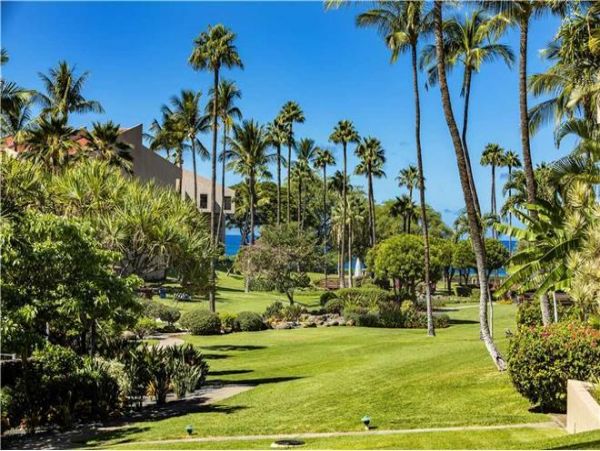 Wailea Condo 972332