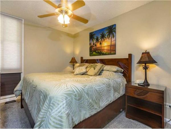 Wailea Condo 972337