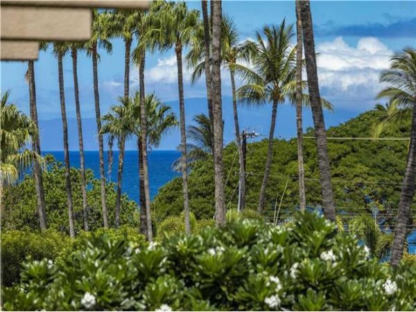 Wailea Condo 972337