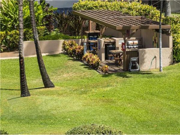 Wailea Condo 972337