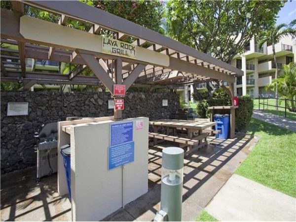 Wailea Condo 972337