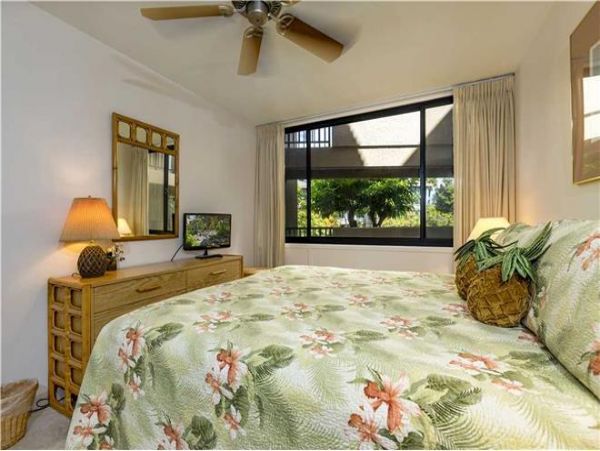 Wailea Condo 972346