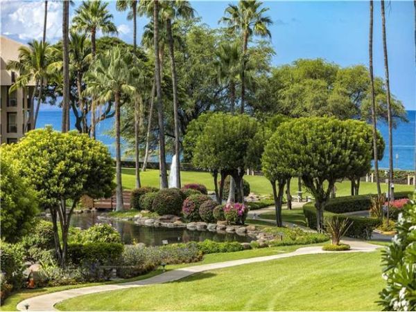 Wailea Condo 972349