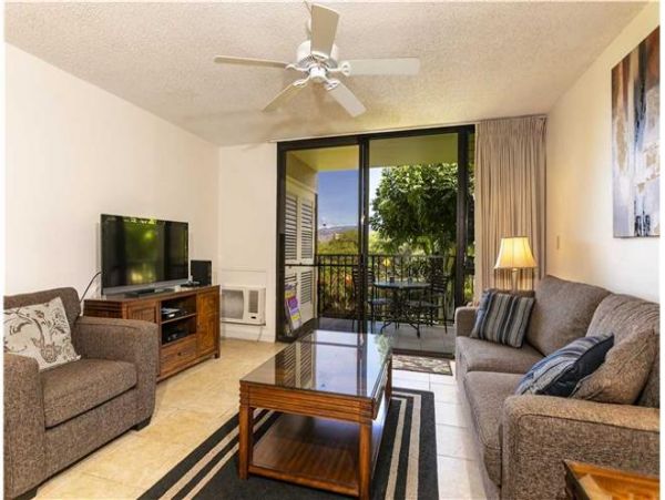 Wailea Condo 972349