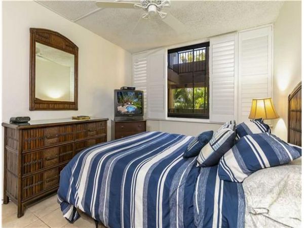 Wailea Condo 972349