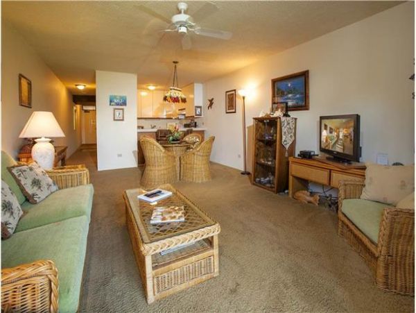 Wailea Condo 972352