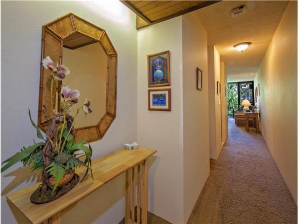 Wailea Condo 972352