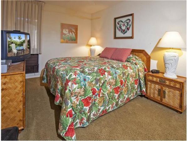 Wailea Condo 972352