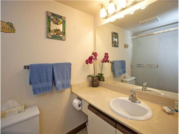 Wailea Condo 972352