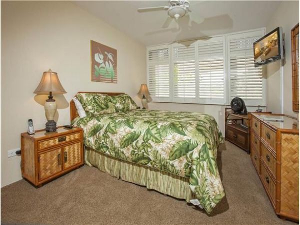 Wailea Condo 972355