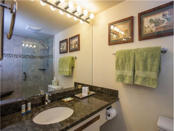 Wailea Condo 972355