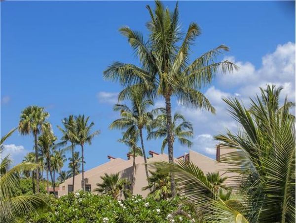 Wailea Condo 972355
