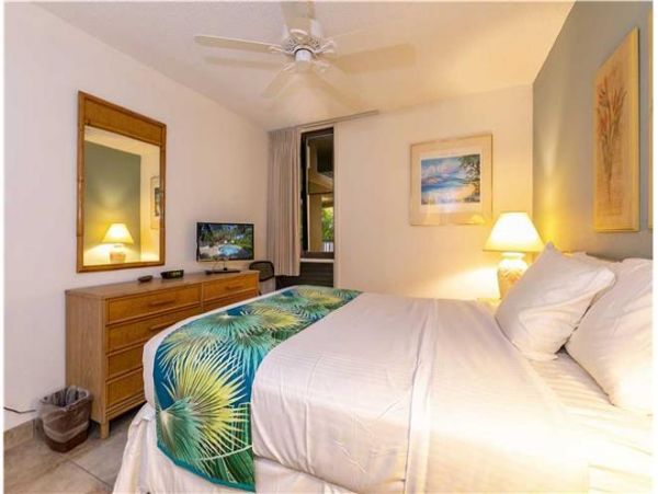 Wailea Condo 972362