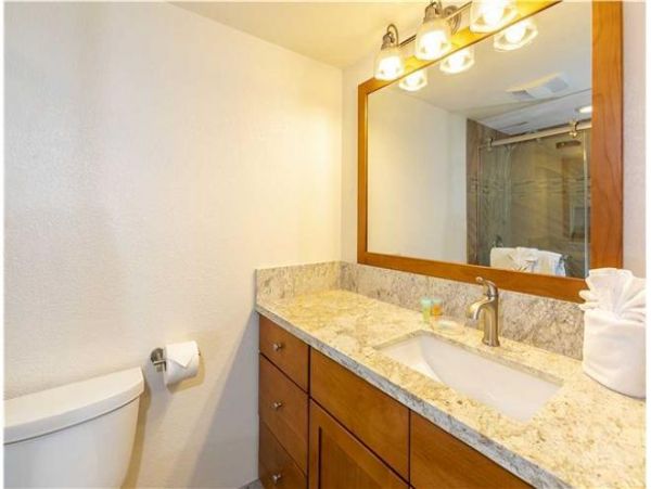 Wailea Condo 972362
