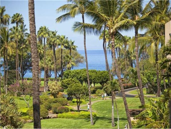Wailea Condo 972362