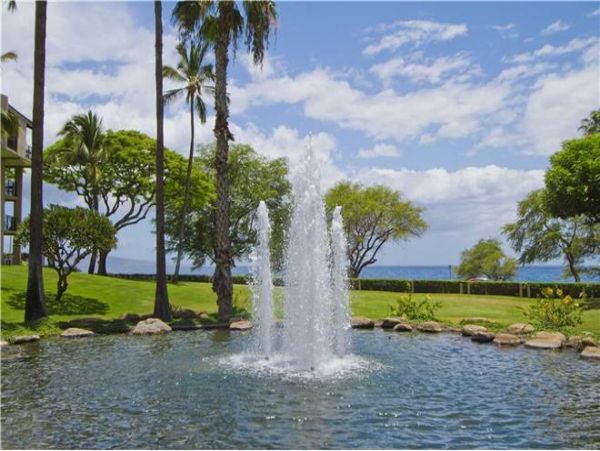 Wailea Condo 972365