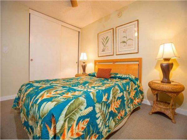 Wailea Condo 972368