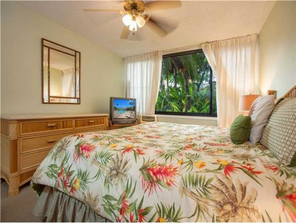 Wailea Condo 972368