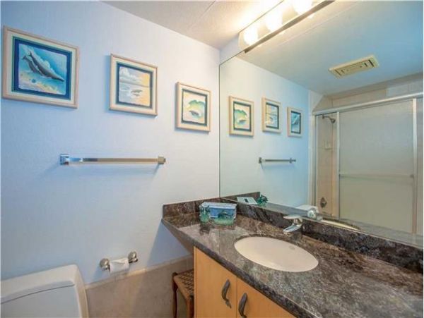 Wailea Condo 972371