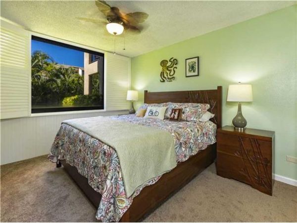 Wailea Condo 972374
