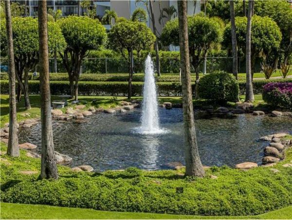 Wailea Condo 972374