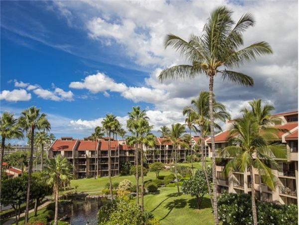 Wailea Condo 972377