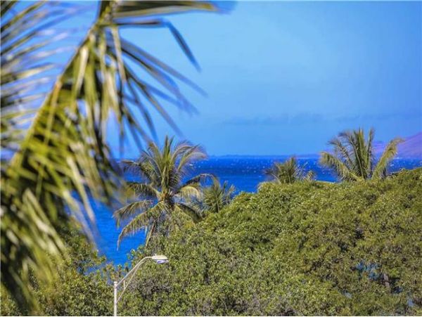 Wailea Condo 972385