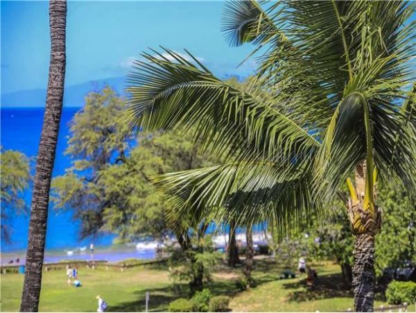 Wailea Condo 972385