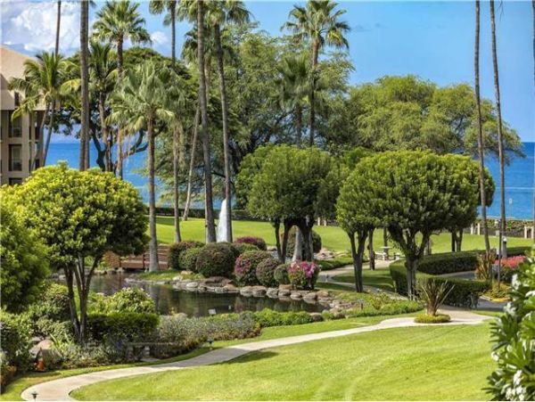 Wailea Condo 972385