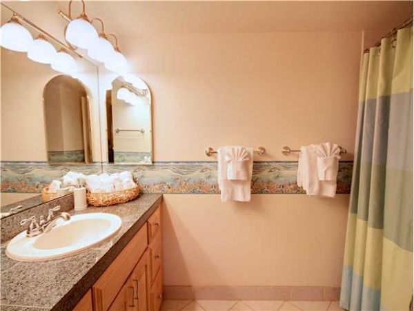 Wailea Condo 972388