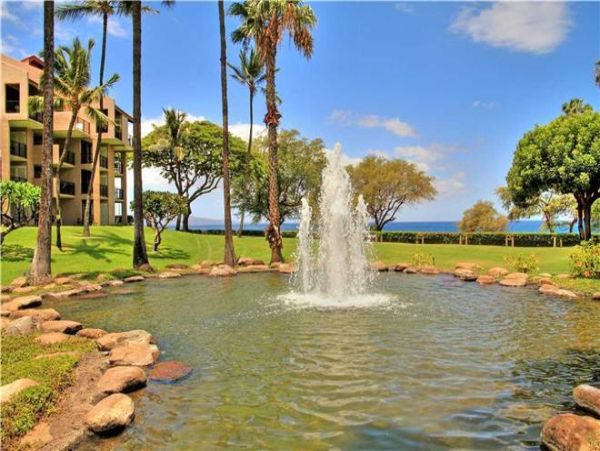 Wailea Condo 972388