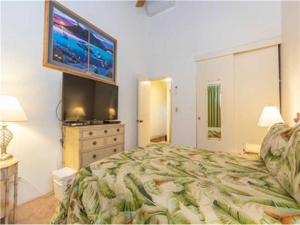 Wailea Condo 972394