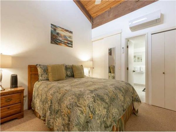 Wailea Condo 972394