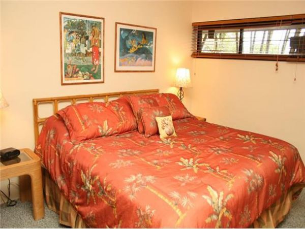 Kihei Home 972396