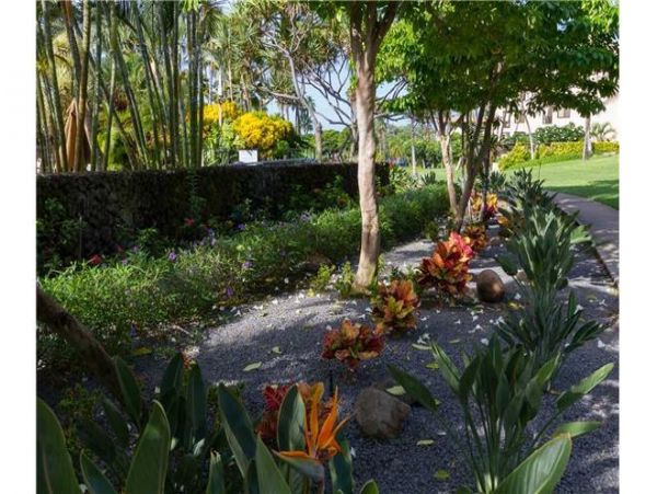 Wailea Condo 972397