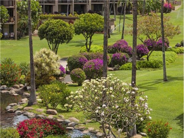 Wailea Condo 972397