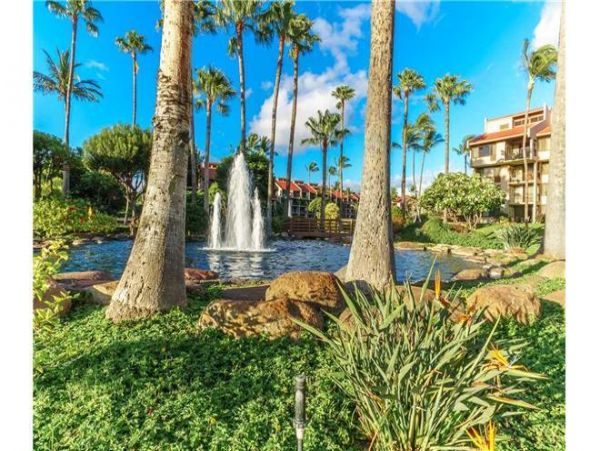 Wailea Condo 972397