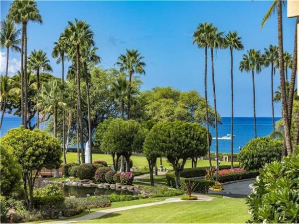 Wailea Condo 972397