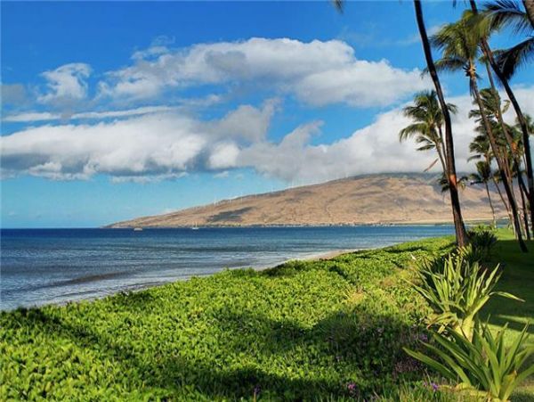 Kihei Condo 972399