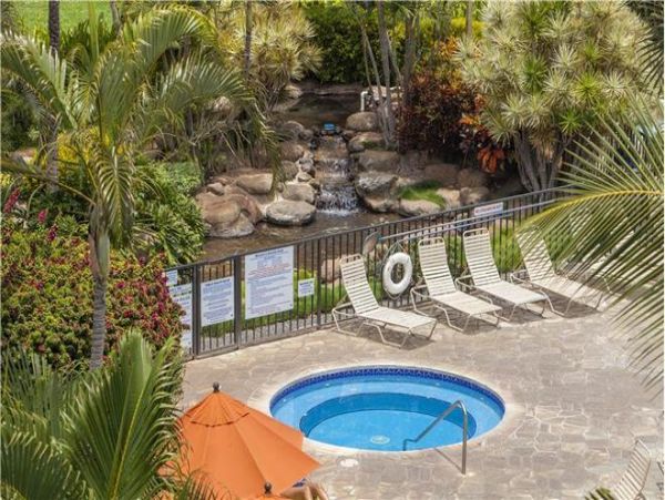 Wailea Condo 972407