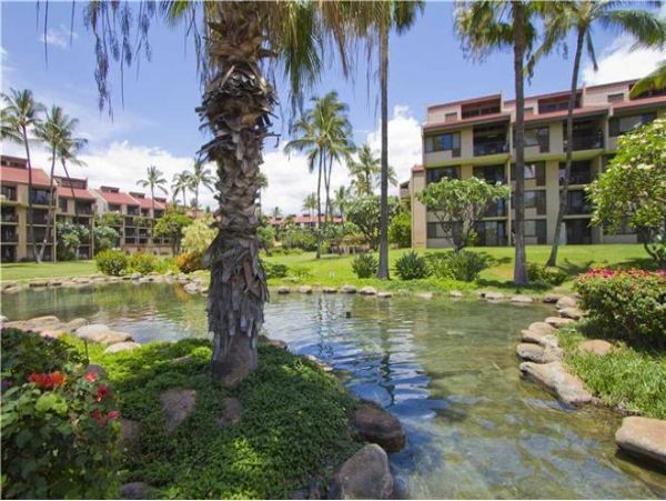 Wailea Condo 972413