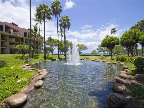Wailea Condo 972422