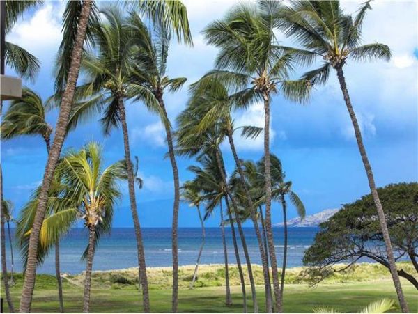 Kihei Condo 972437