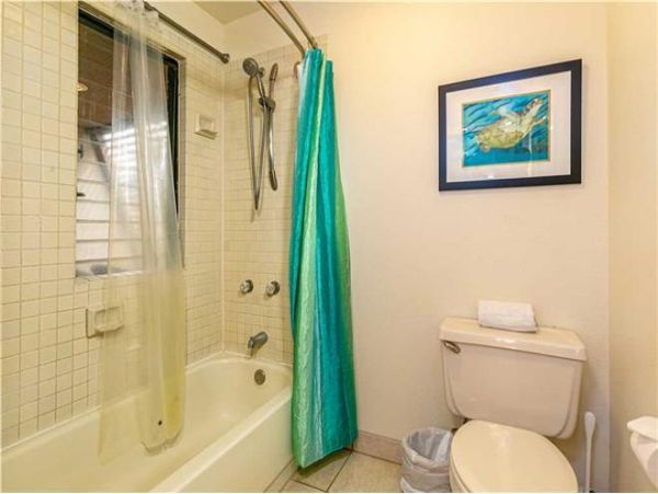 Wailea Condo 972443