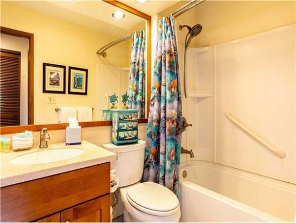 Wailea Condo 972443