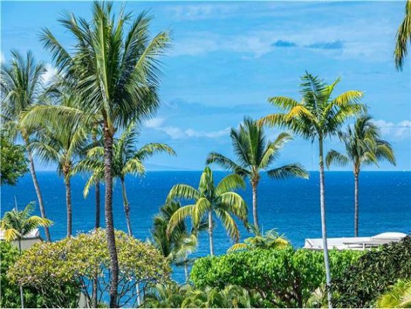 Wailea Condo 972443