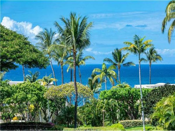 Wailea Condo 972443