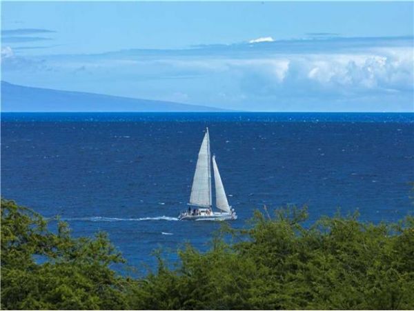 Wailea Condo 972447