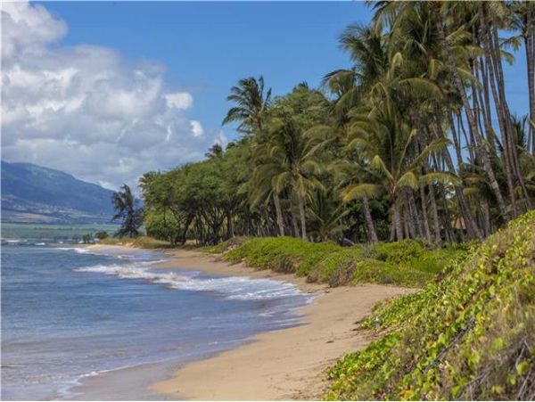 Kihei Condo 972449
