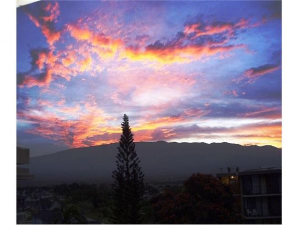 Kihei Condo 972449